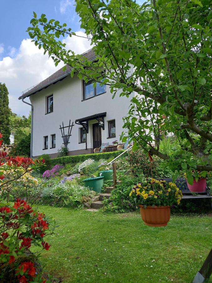 Ferienwohnung Am Steinbachtal Thale Eksteriør billede